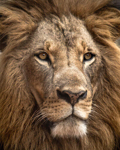 Kruger National Park